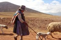 Life at a Different Pace in Peru